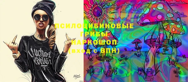 гидра Алексеевка