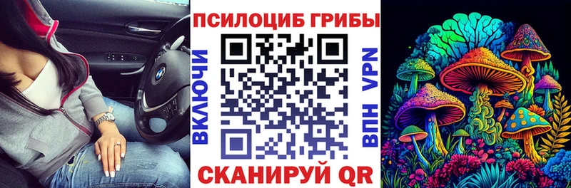 гидра как зайти  закладки  Верхотурье  Галлюциногенные грибы GOLDEN TEACHER 